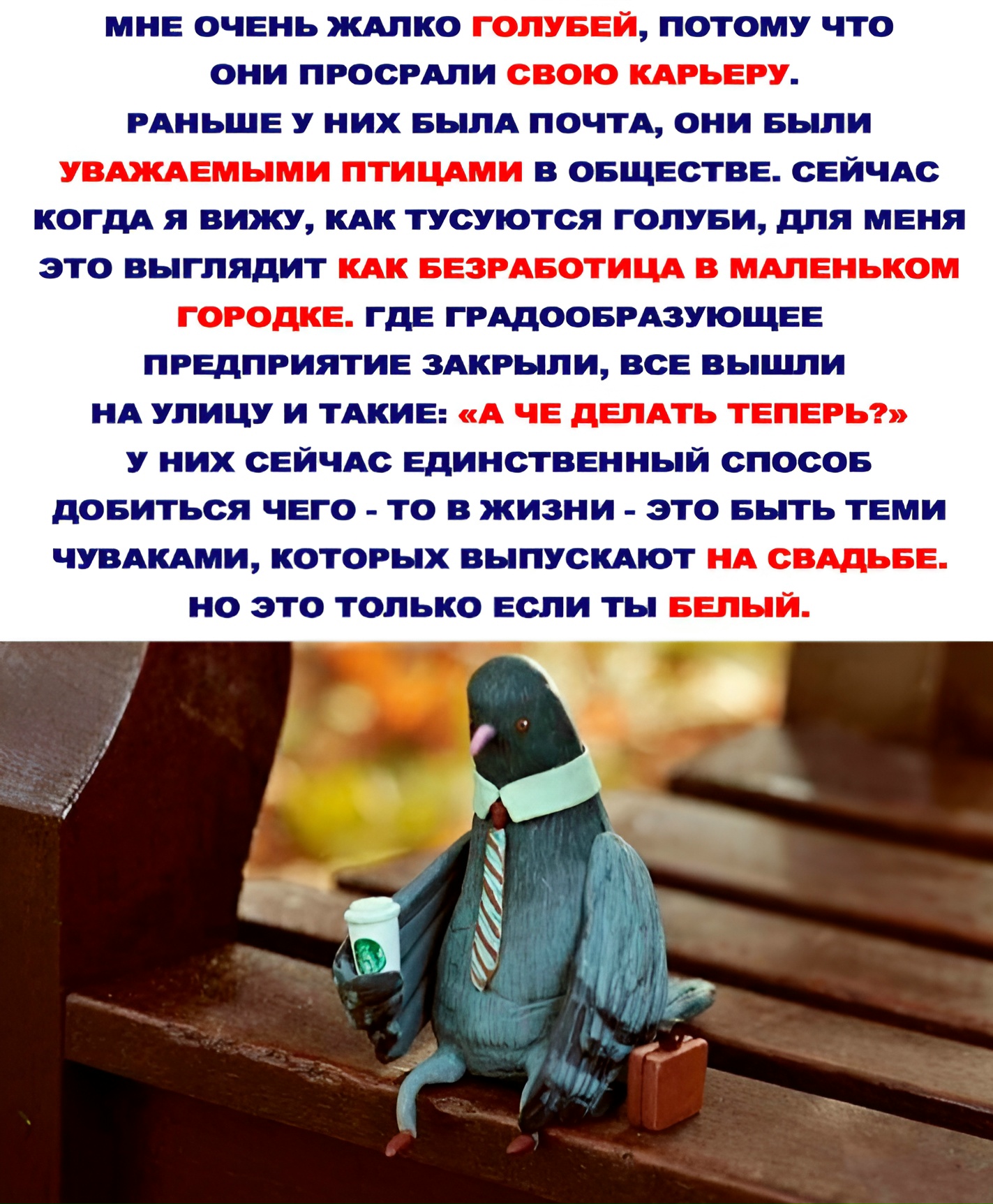 Как появились голуби.Всё началось не с городских …