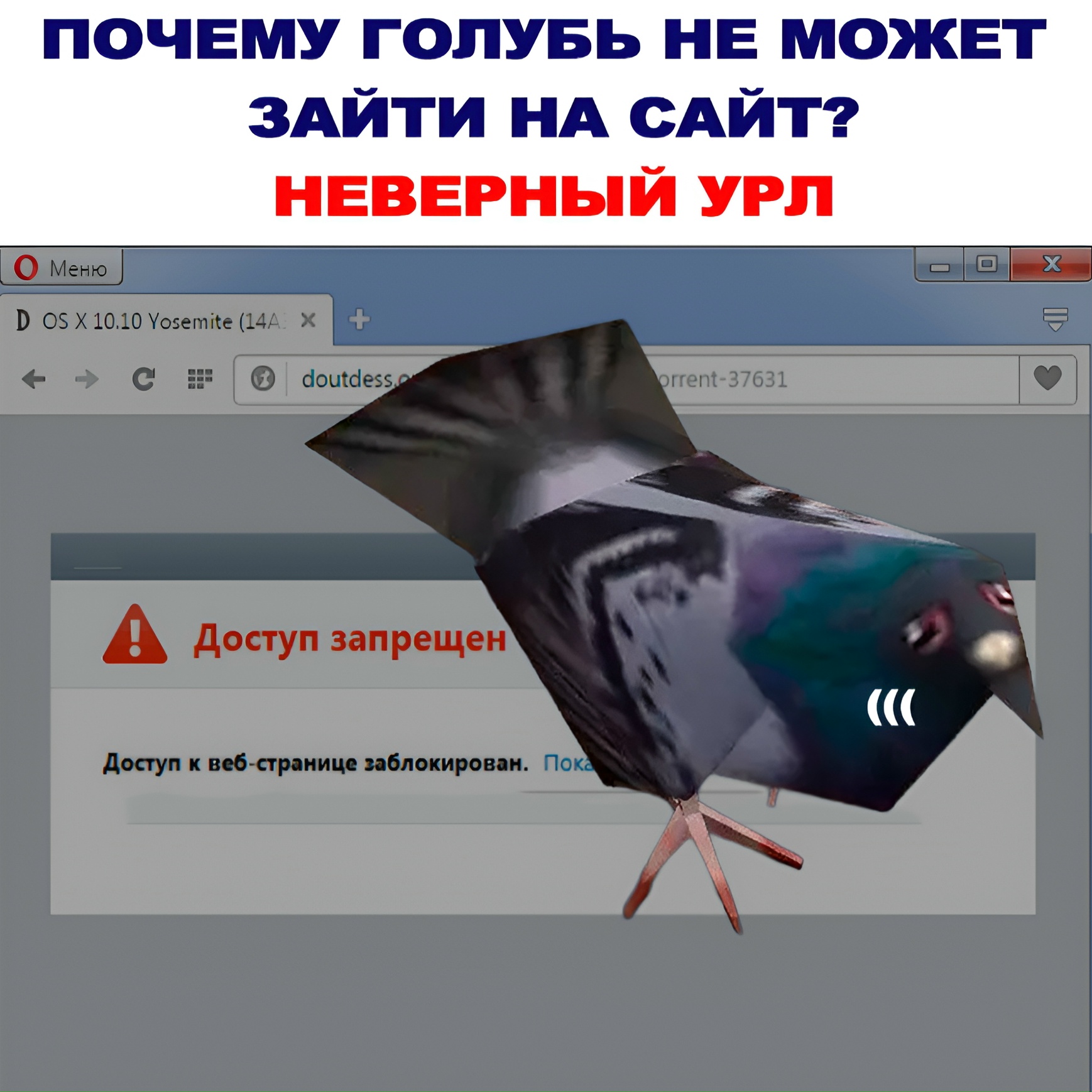 Кто, когда и зачем придумал URL.Короче, URL (это …