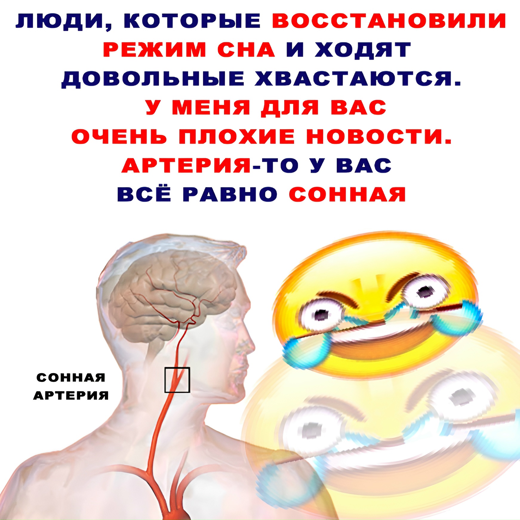 Зачем человеку сонная артерия? По сонной артерии …