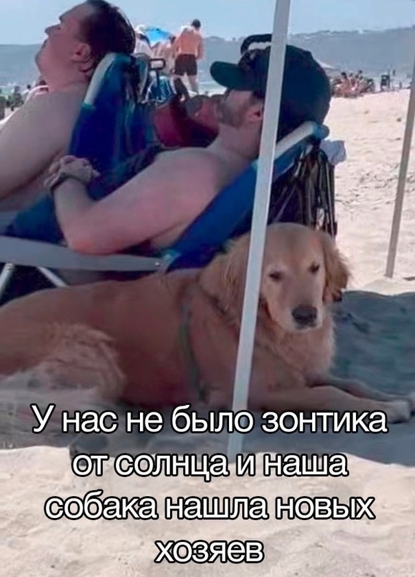 Сделал выбор