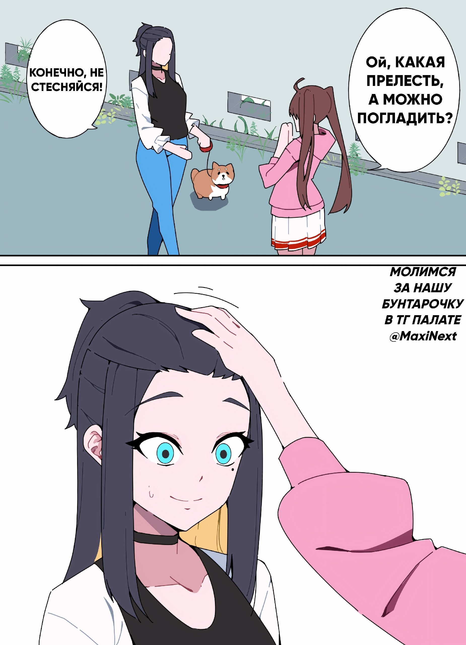 У Наггетса хороший питомец