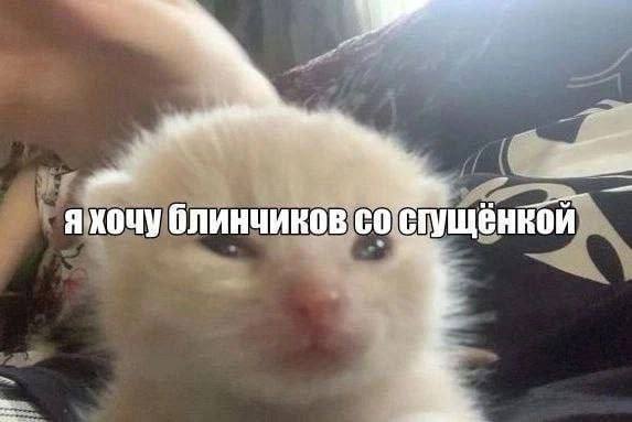 mood