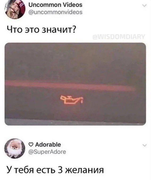 И все они связны с движком