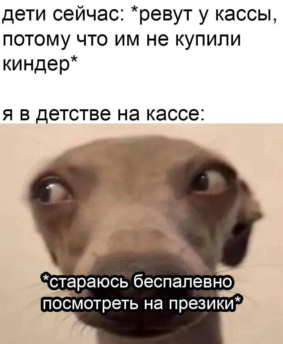 Изучение рынка