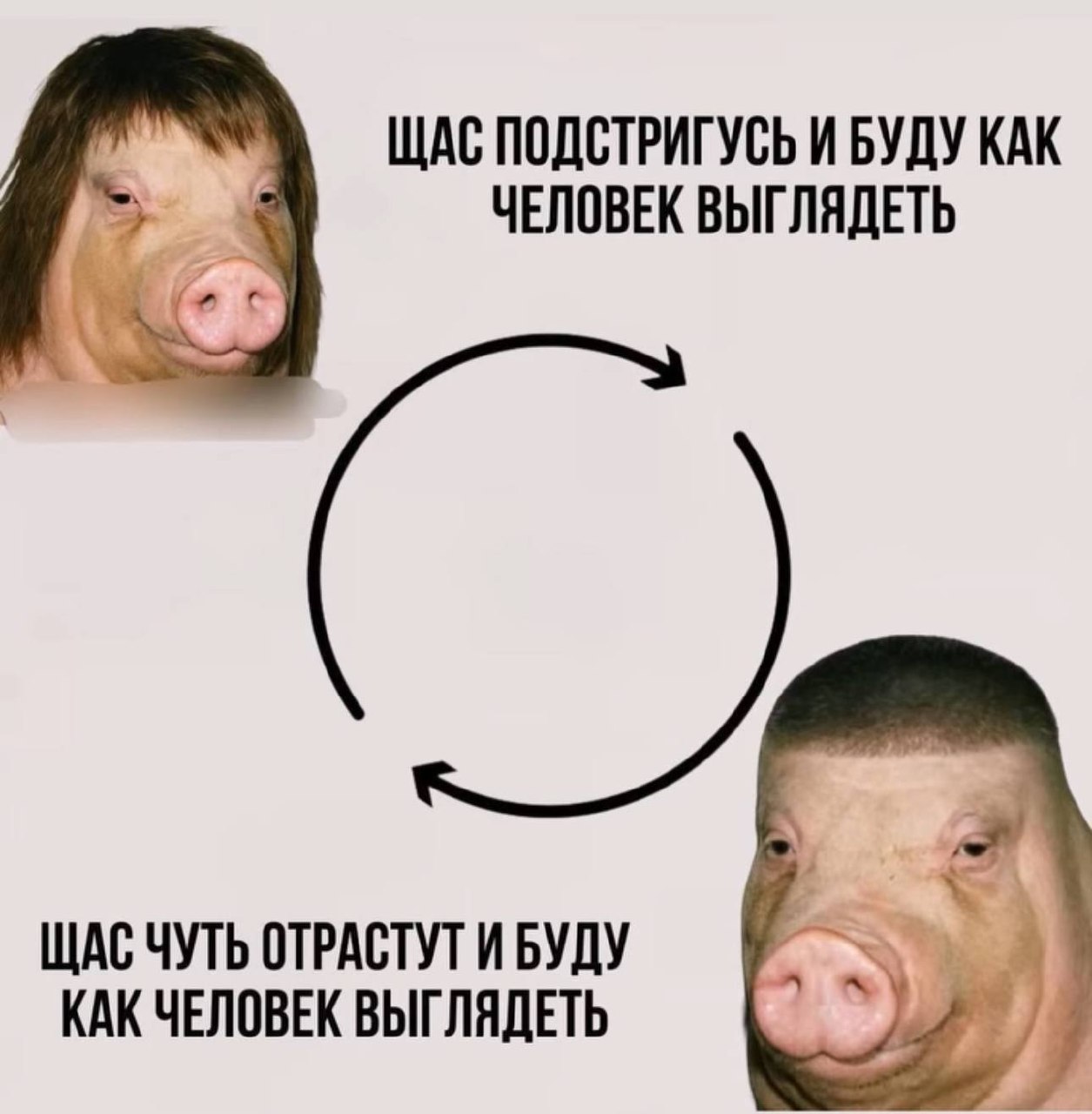 Узнал радной ?