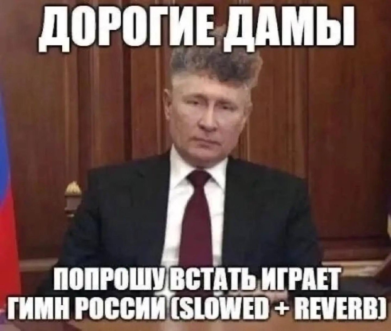 Наш слоняра