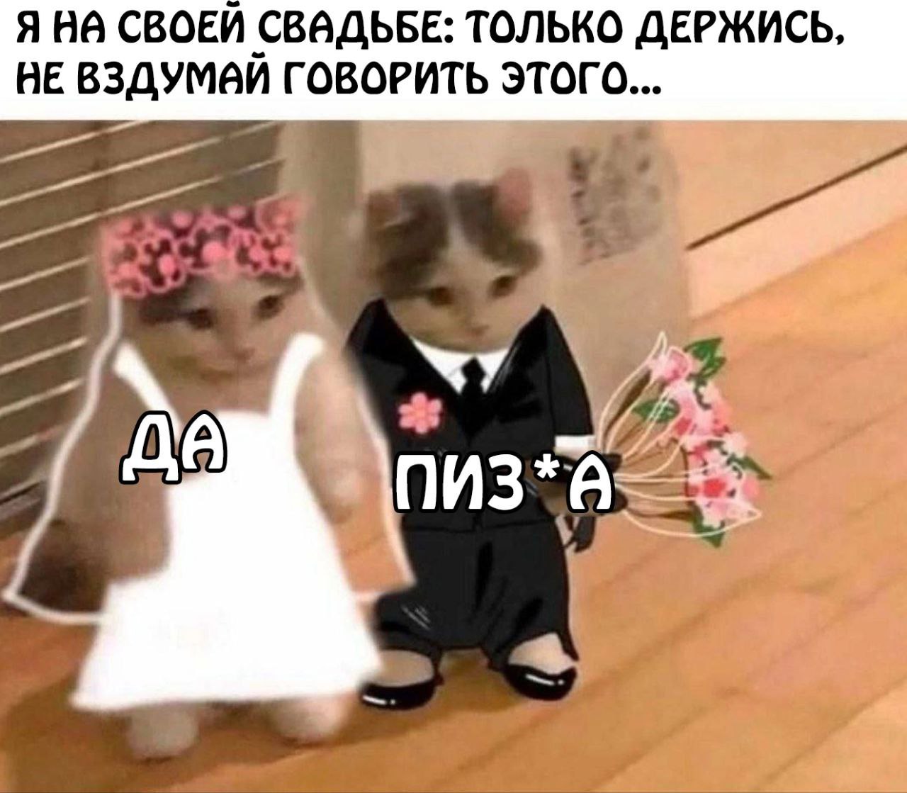 #предложка