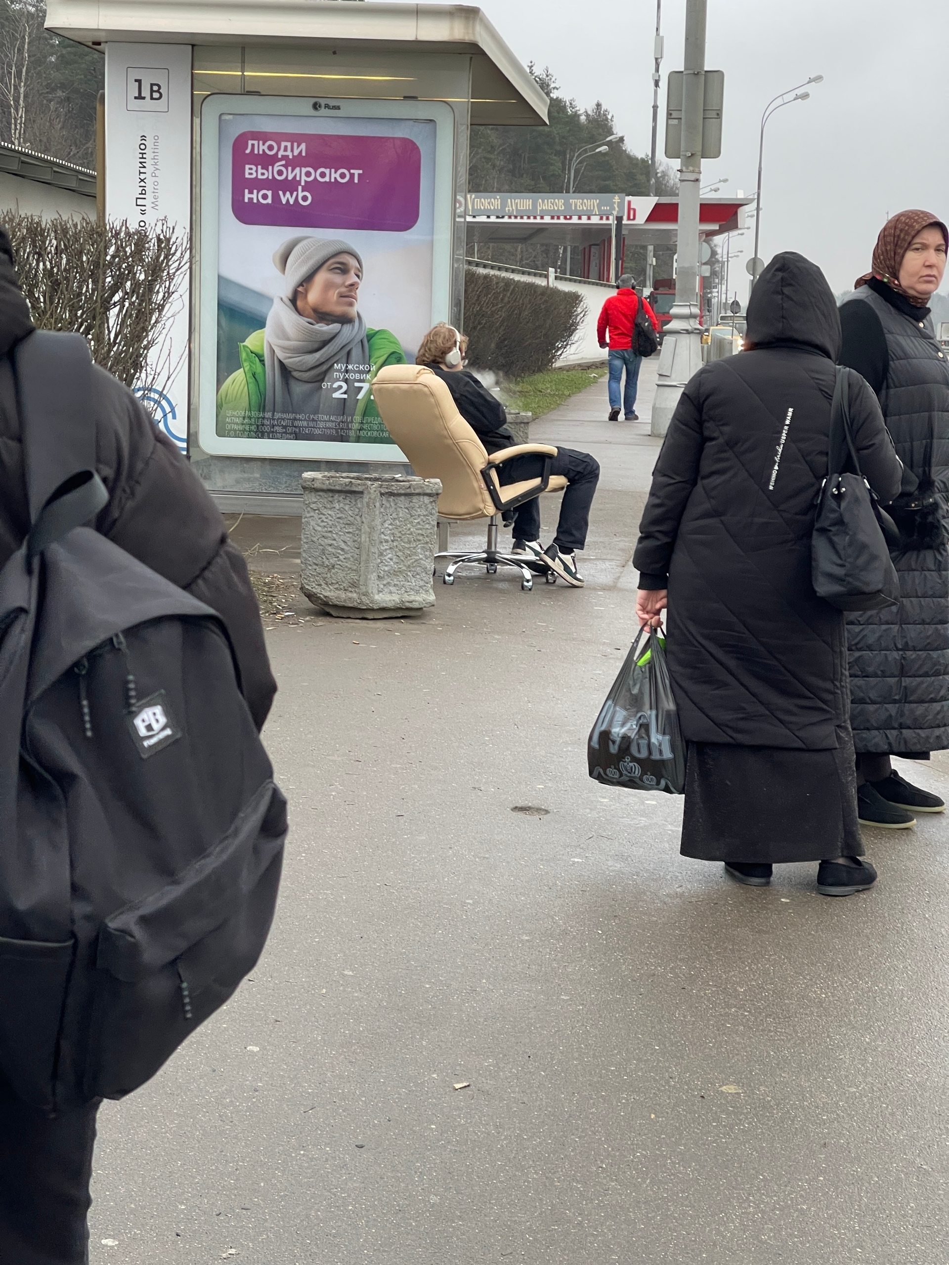 Королевский ждун (мск)