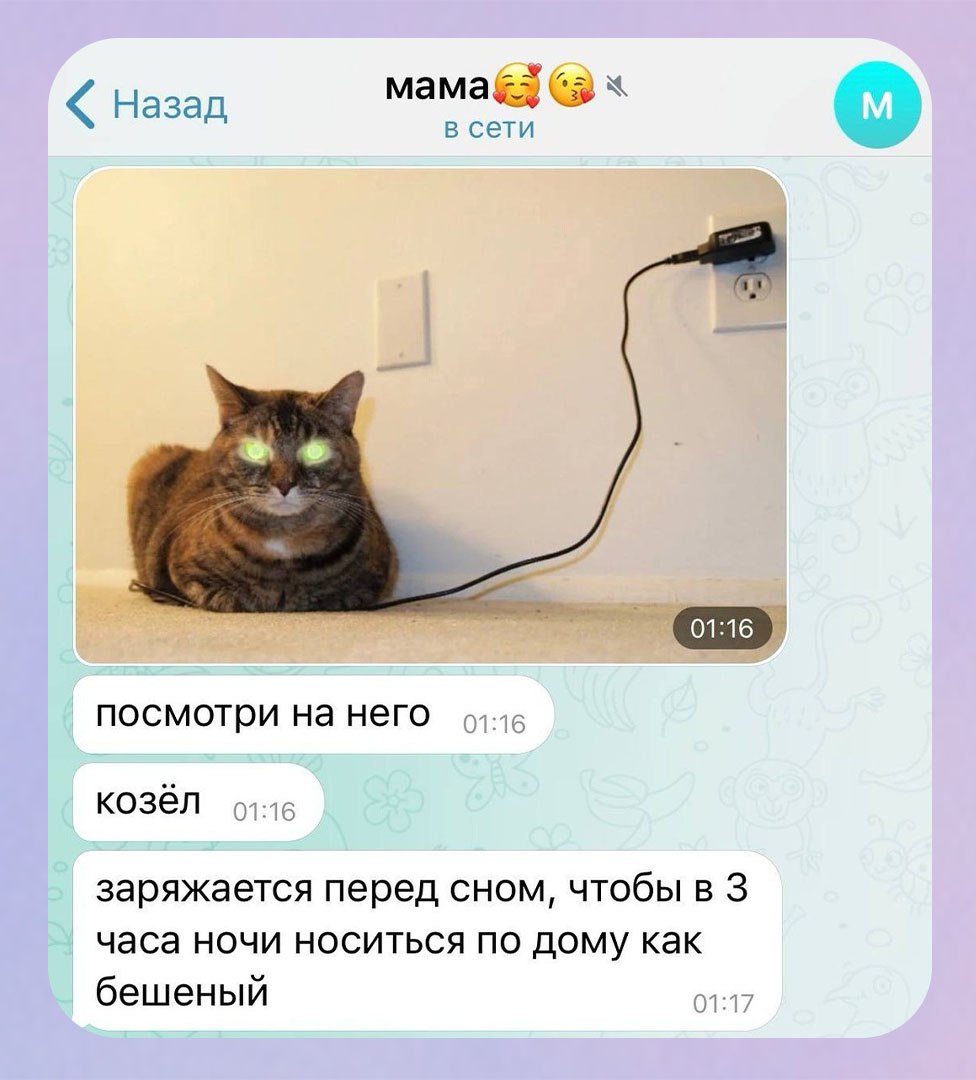 Именно так выглядит ответственная подготовка к но…