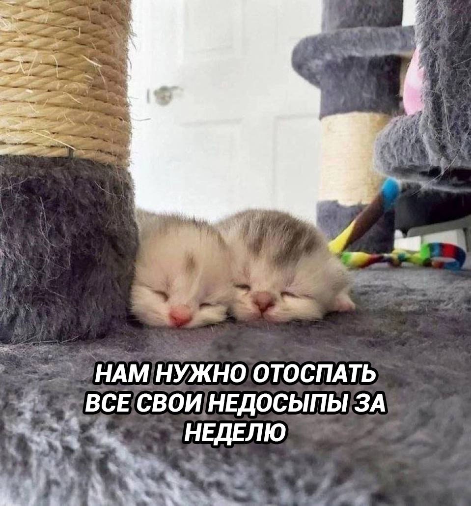 Чем мы заняты на выходных

❤️ – да!
🔥 – я предпоч…