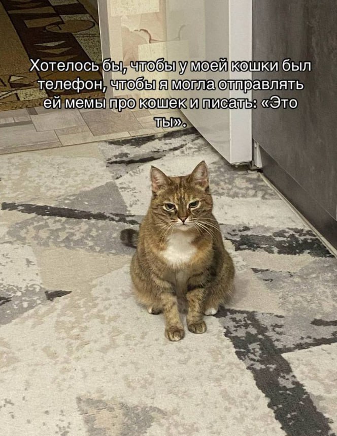 Хотелось бы