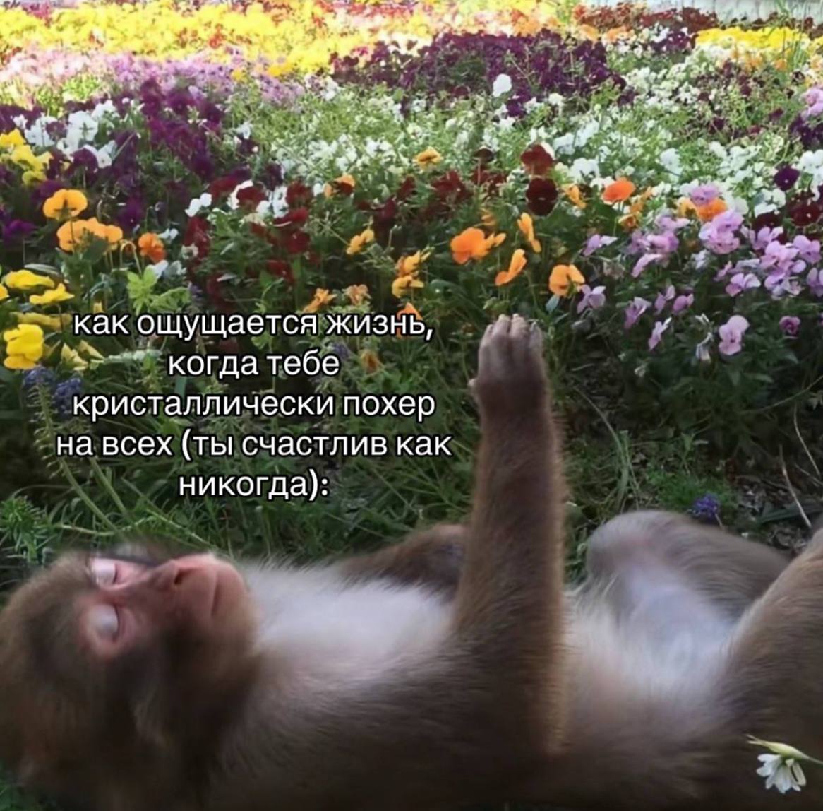 Состояние, к которому я стремлюсь