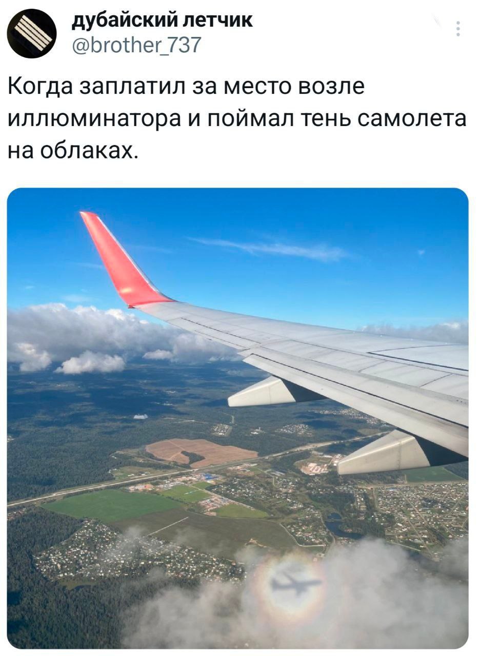 Вот это я понимаю, уникальное фото, а не голые за…