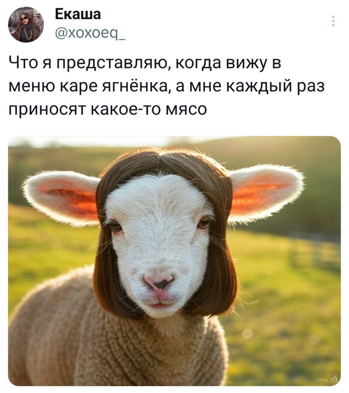 Кругом обман!