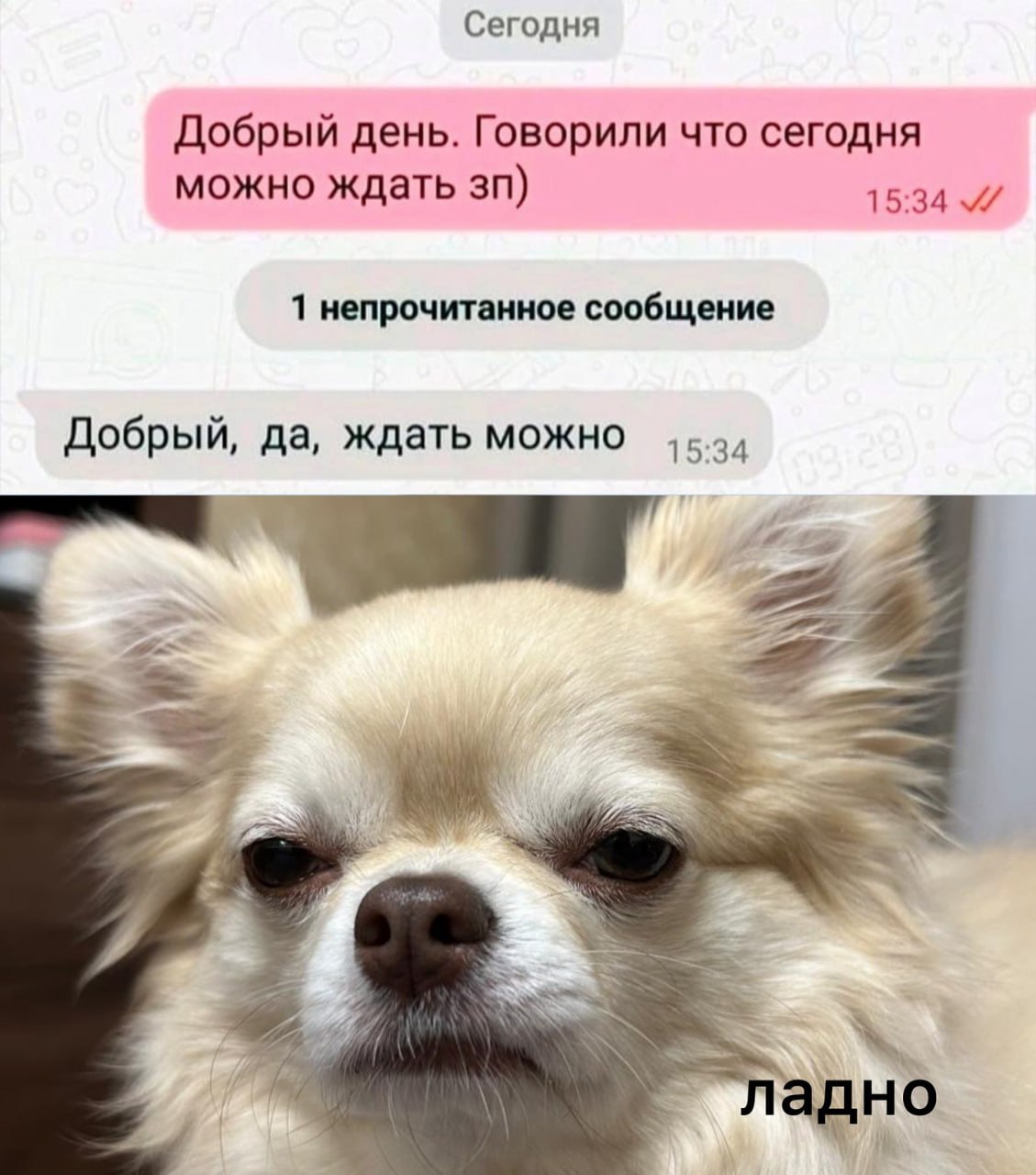 Когда задерживают ЗП
