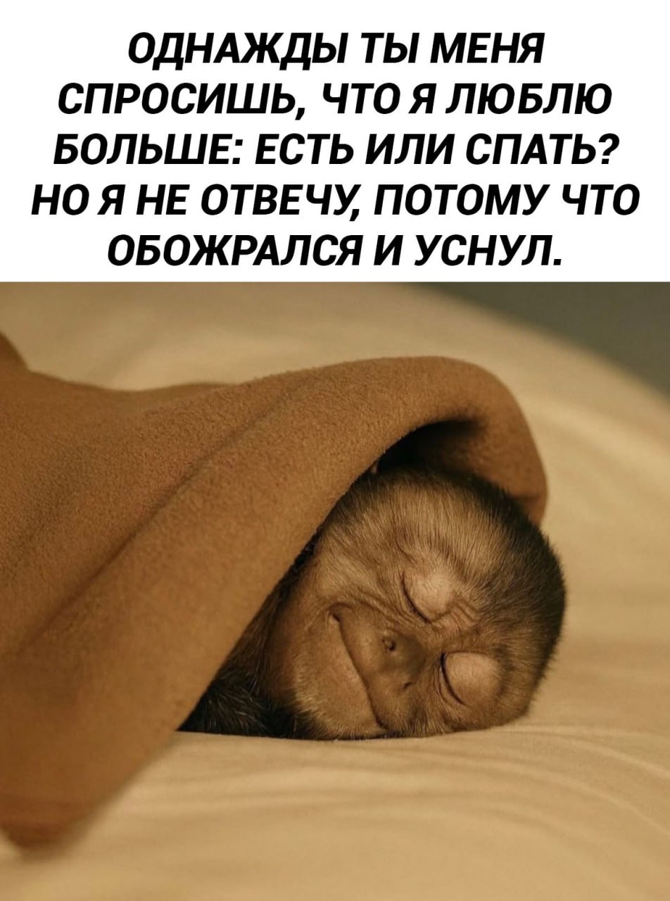 Любимые занятия