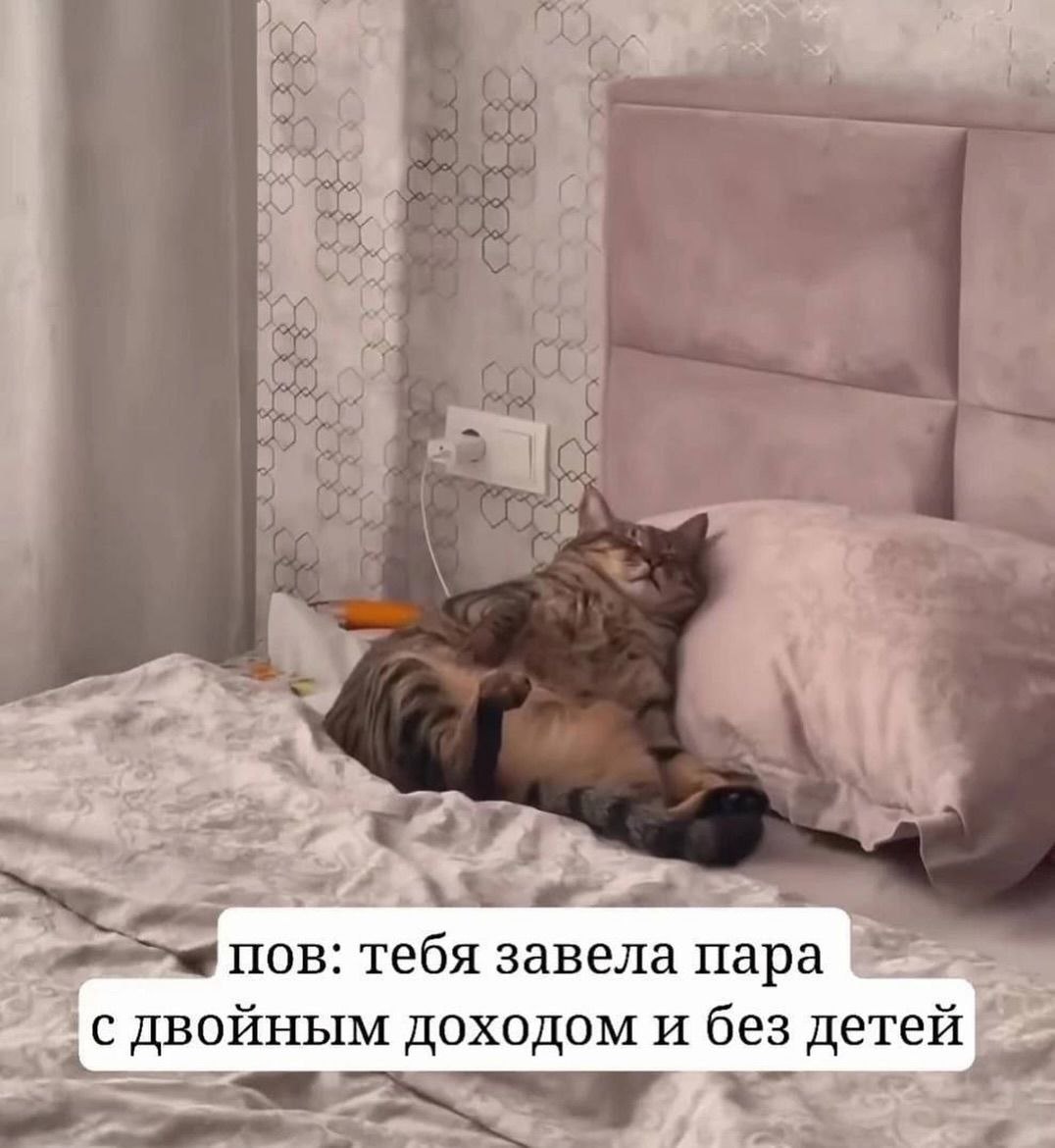 Вот у кого жизнь действительно удалась