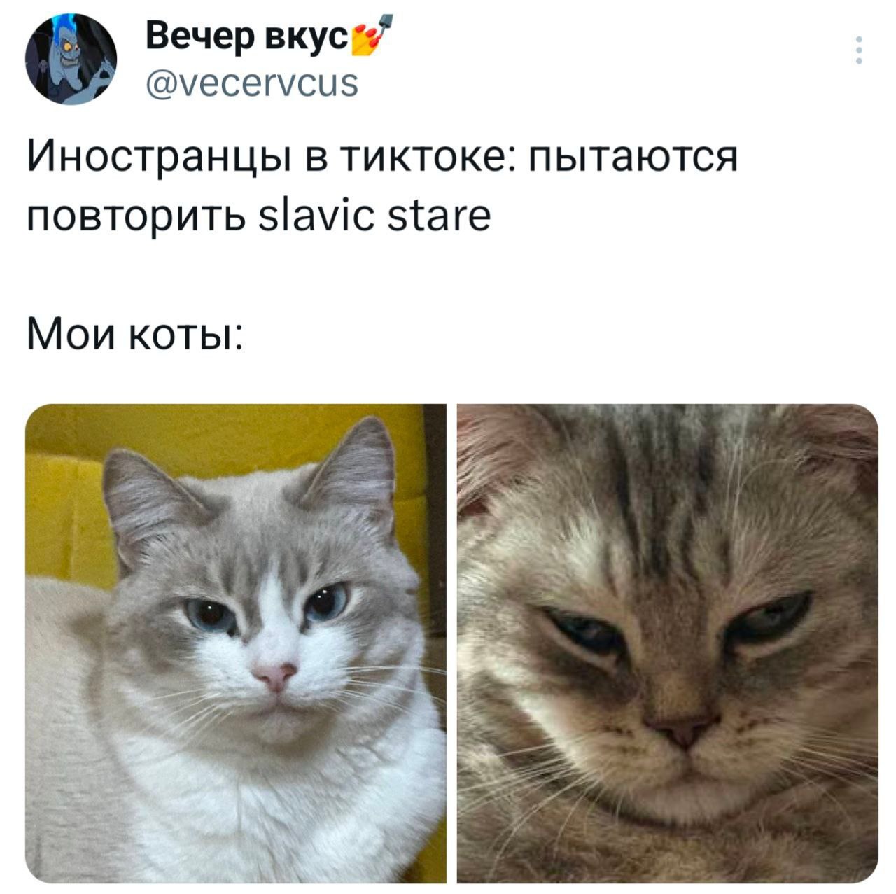 Те, кто в совершенстве владеет славянским русским…