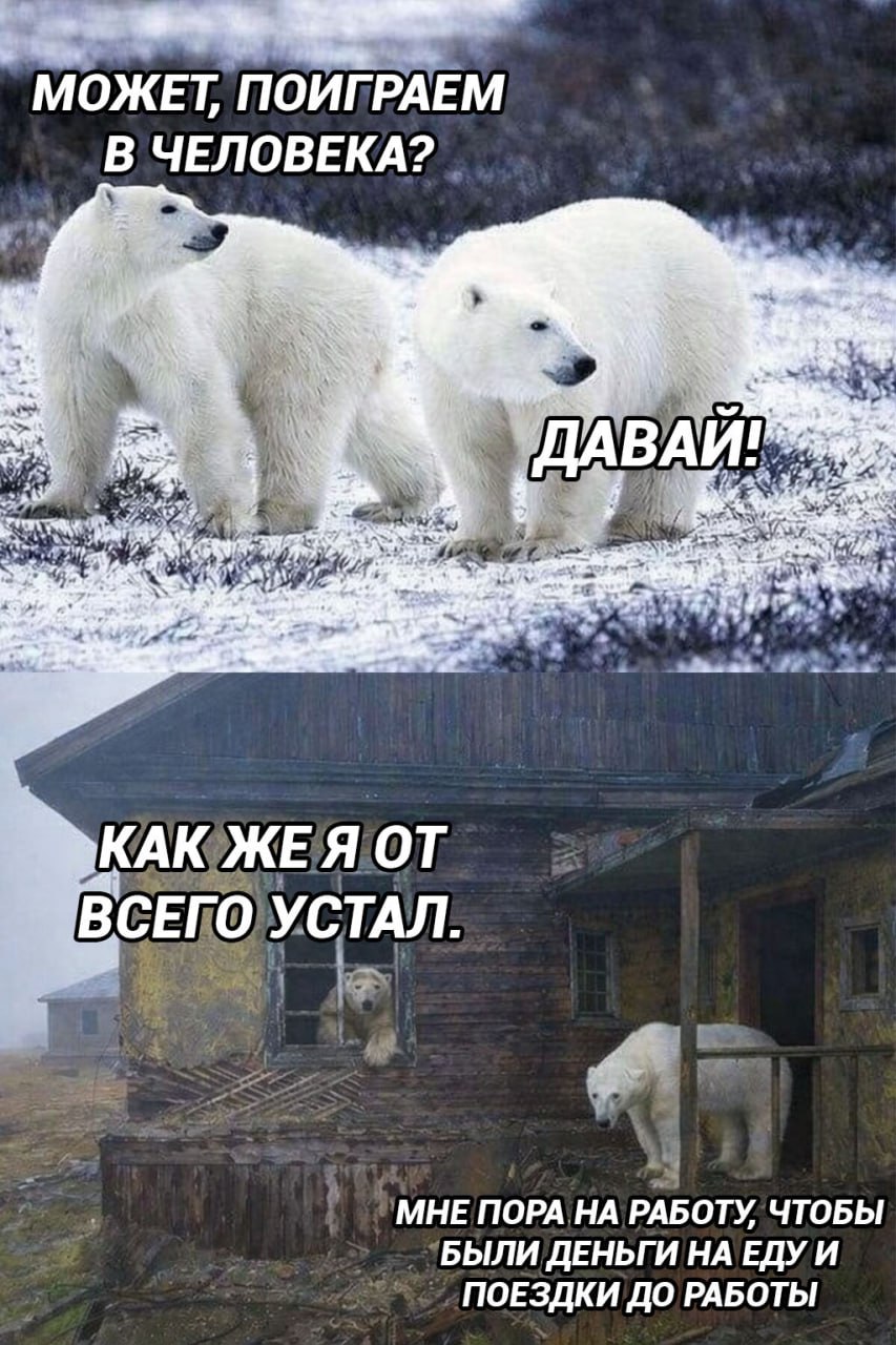 Поиграли в человеков