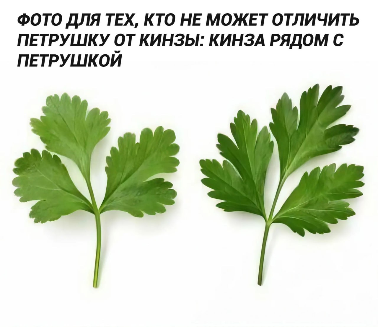 ❤️ – ну, теперь всё понятно