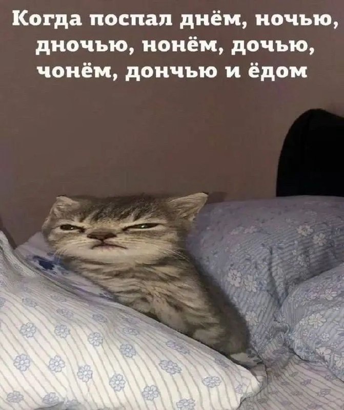 Лёг на дневной сон, в общем