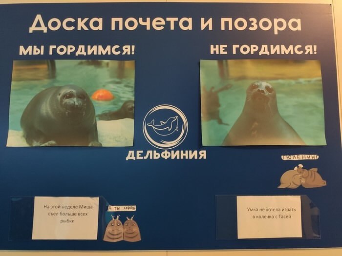 Вот бы мной кто гордился за то, что я съел больше…