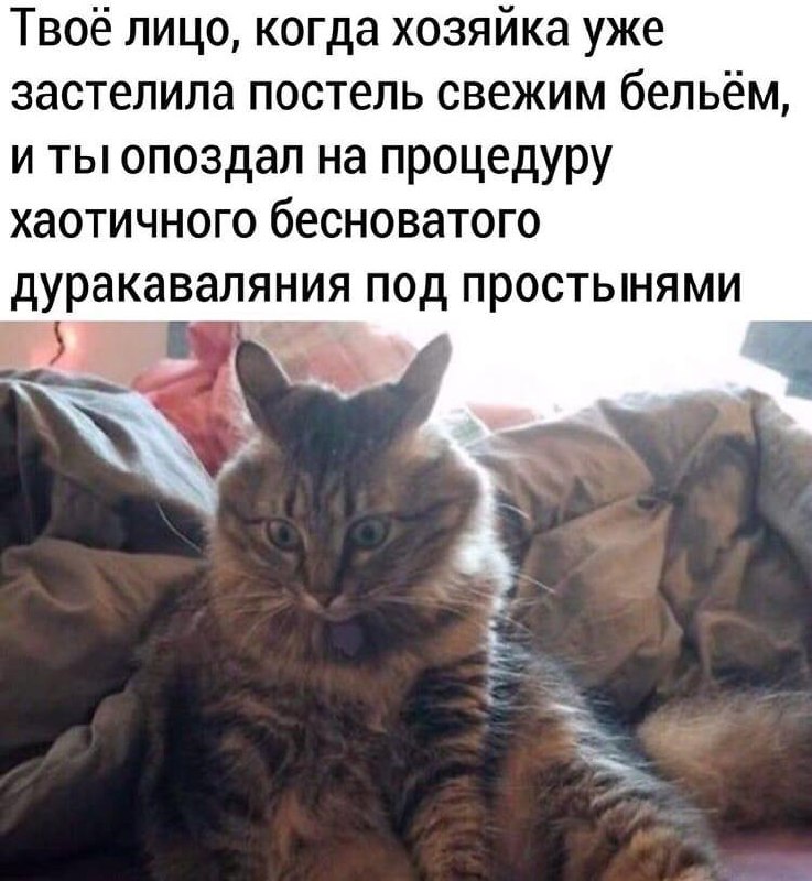 Это провал