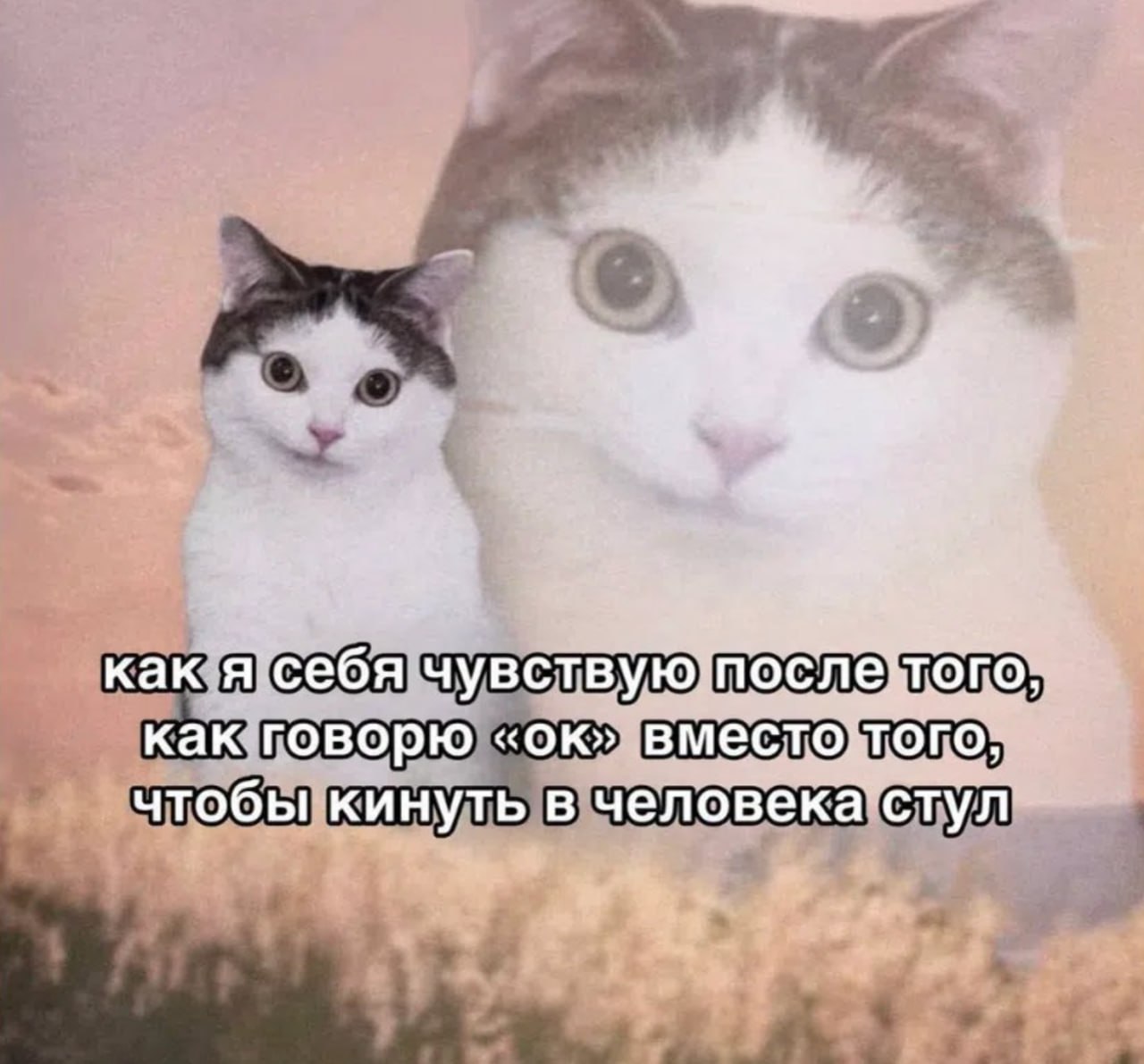 Да я сама уравновешенность!