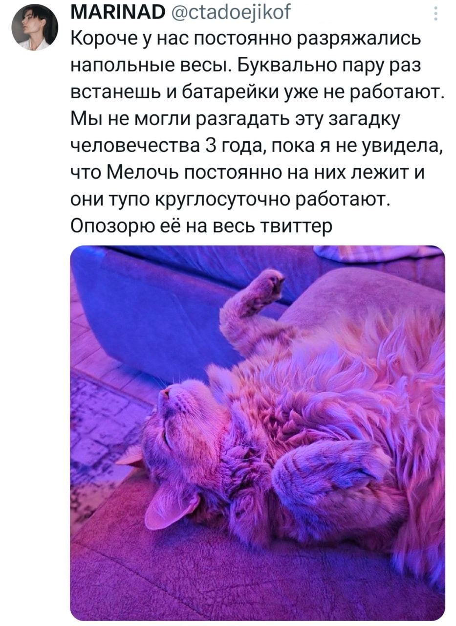 Его борьба с весами