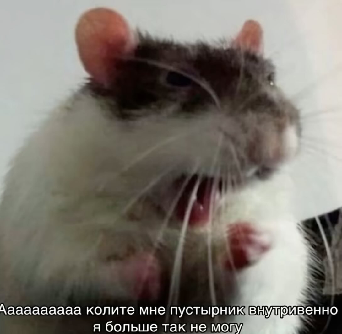 Мои качества в резюме: стрессоустойчивость, терпе…