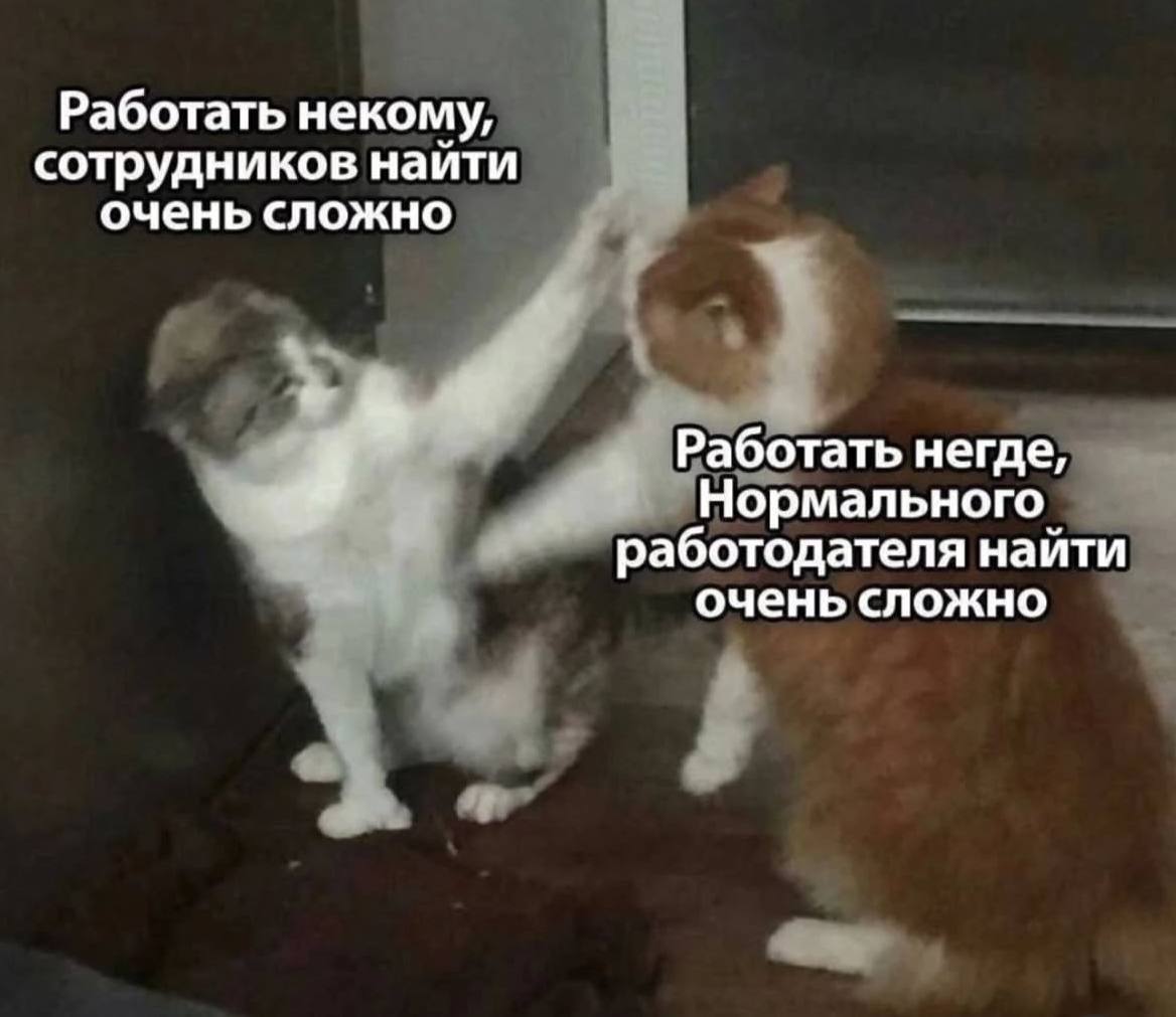 Так и живём