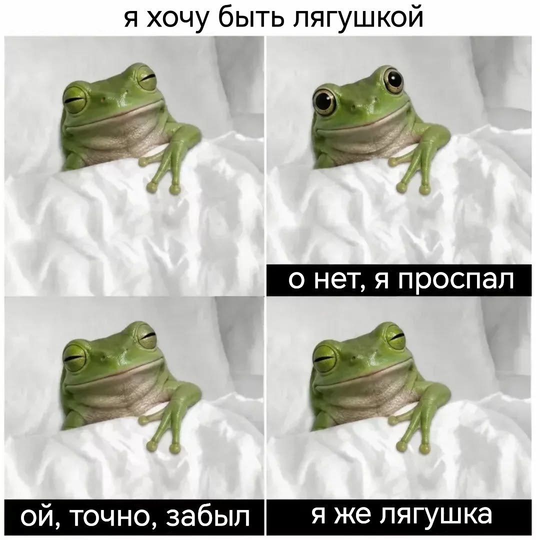 Среда, мои чюваки