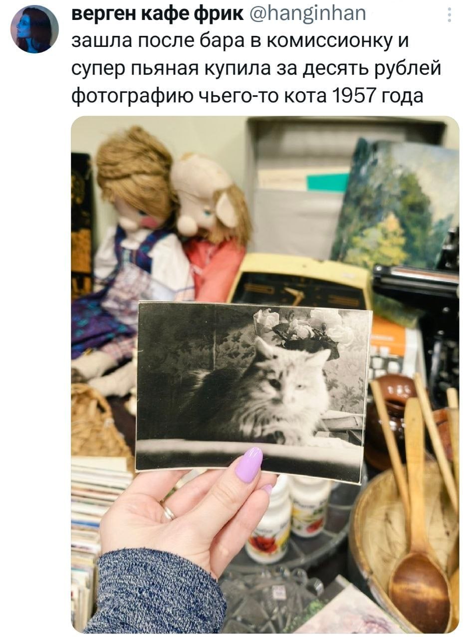 Ох, уж эти пьяные приключения!