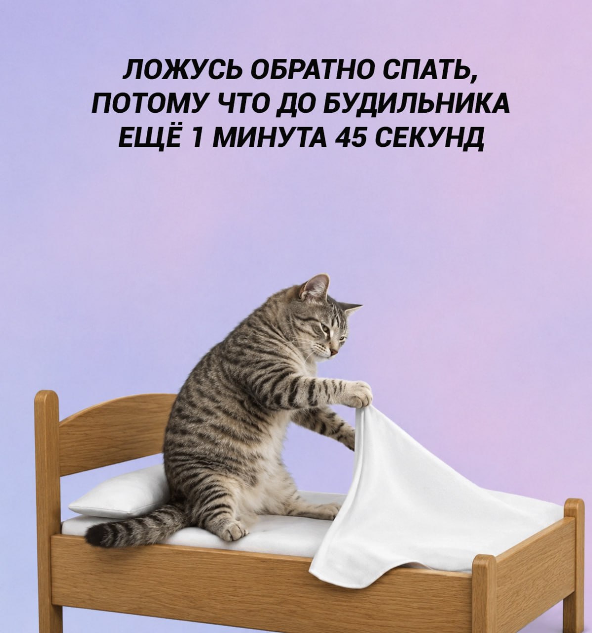 Когда проснулся до будильника