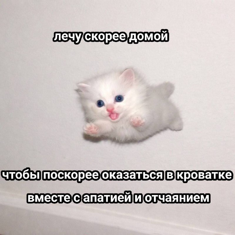 В сеть слили твою фотку в конце рабочего дня