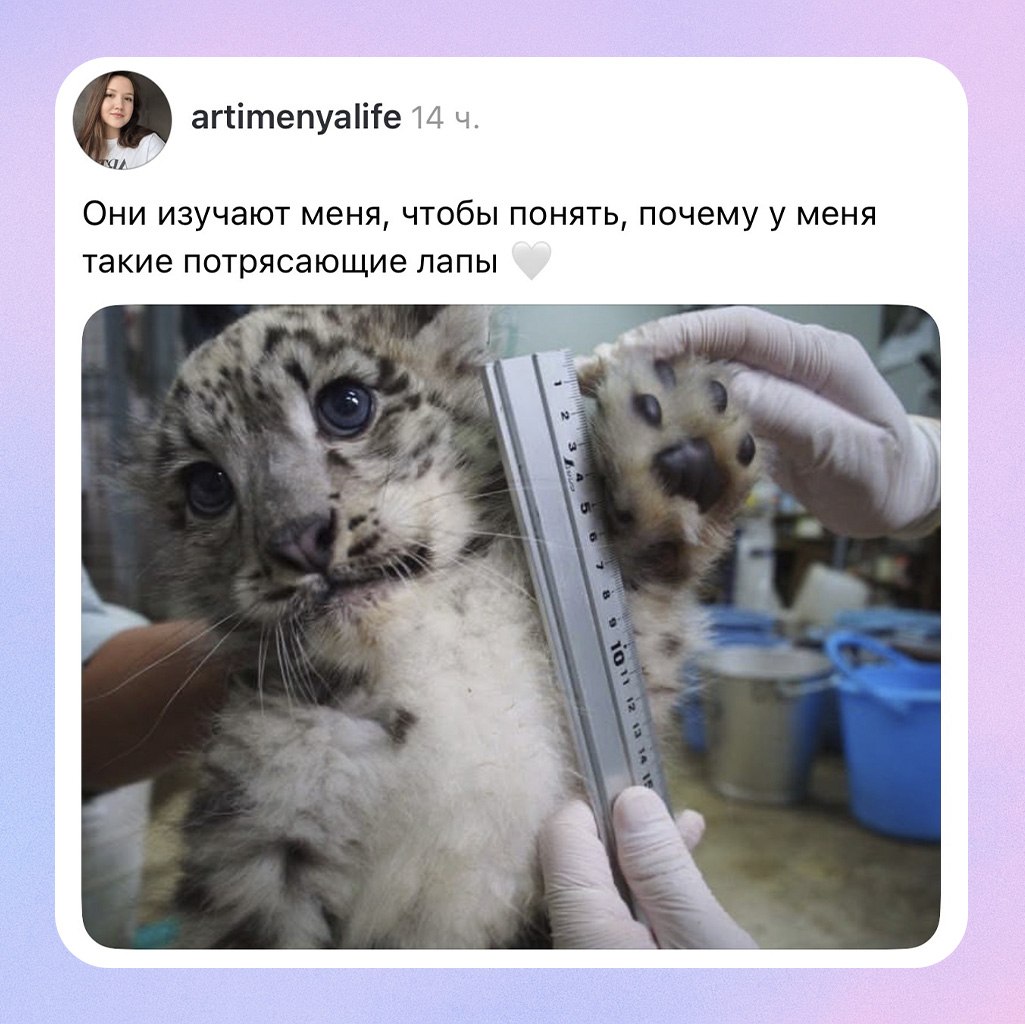 Да он с головы до пят потрясающий! 😍
