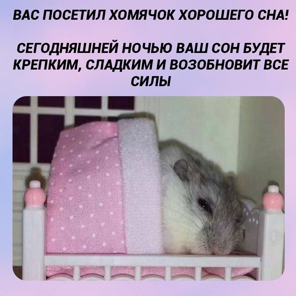 Ты наконец-то выспишься