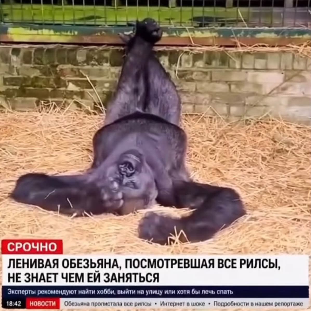 Коротко о том, как прошло мое лето: