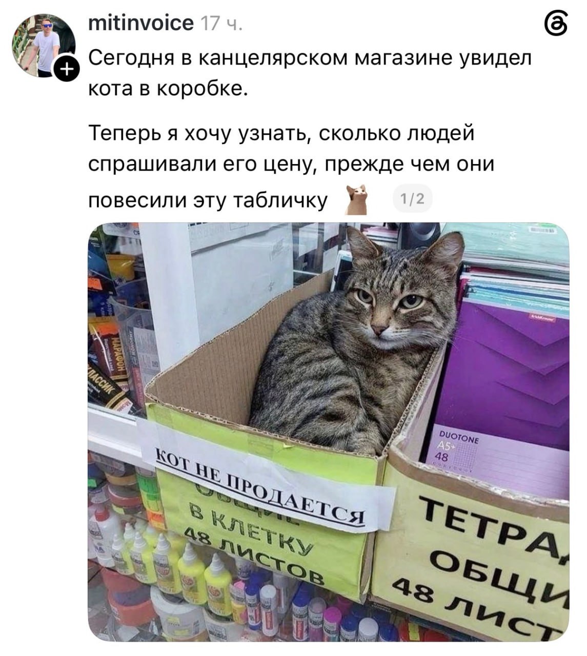 А так хотелось, конечно...
