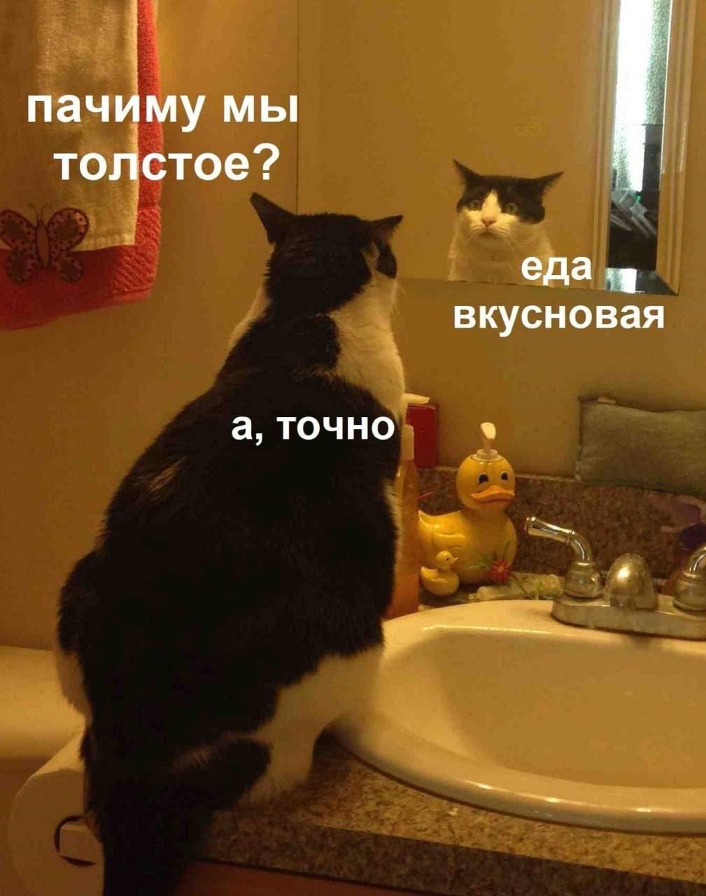 Мы?