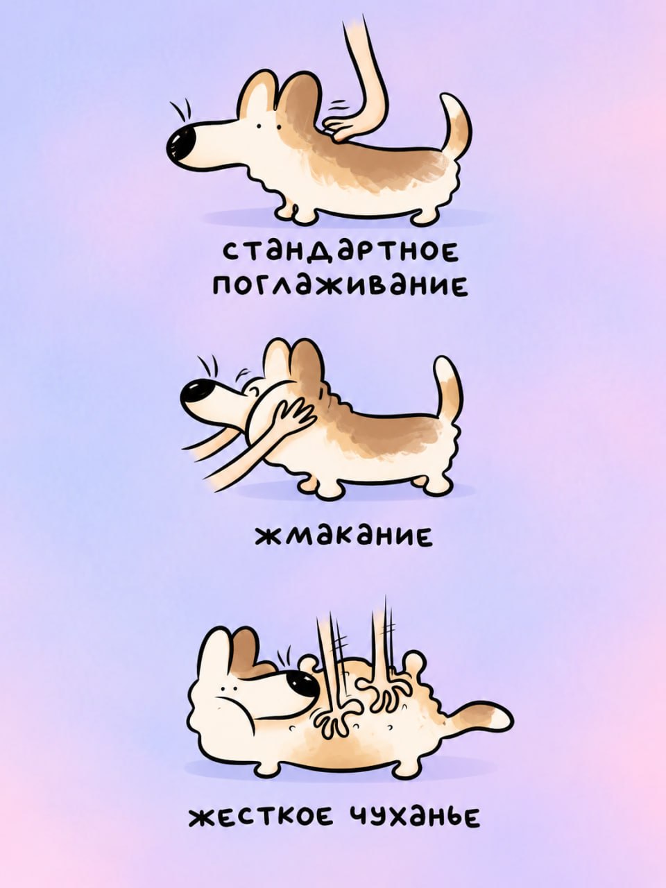 А как вы гладите свою сомбаку?
