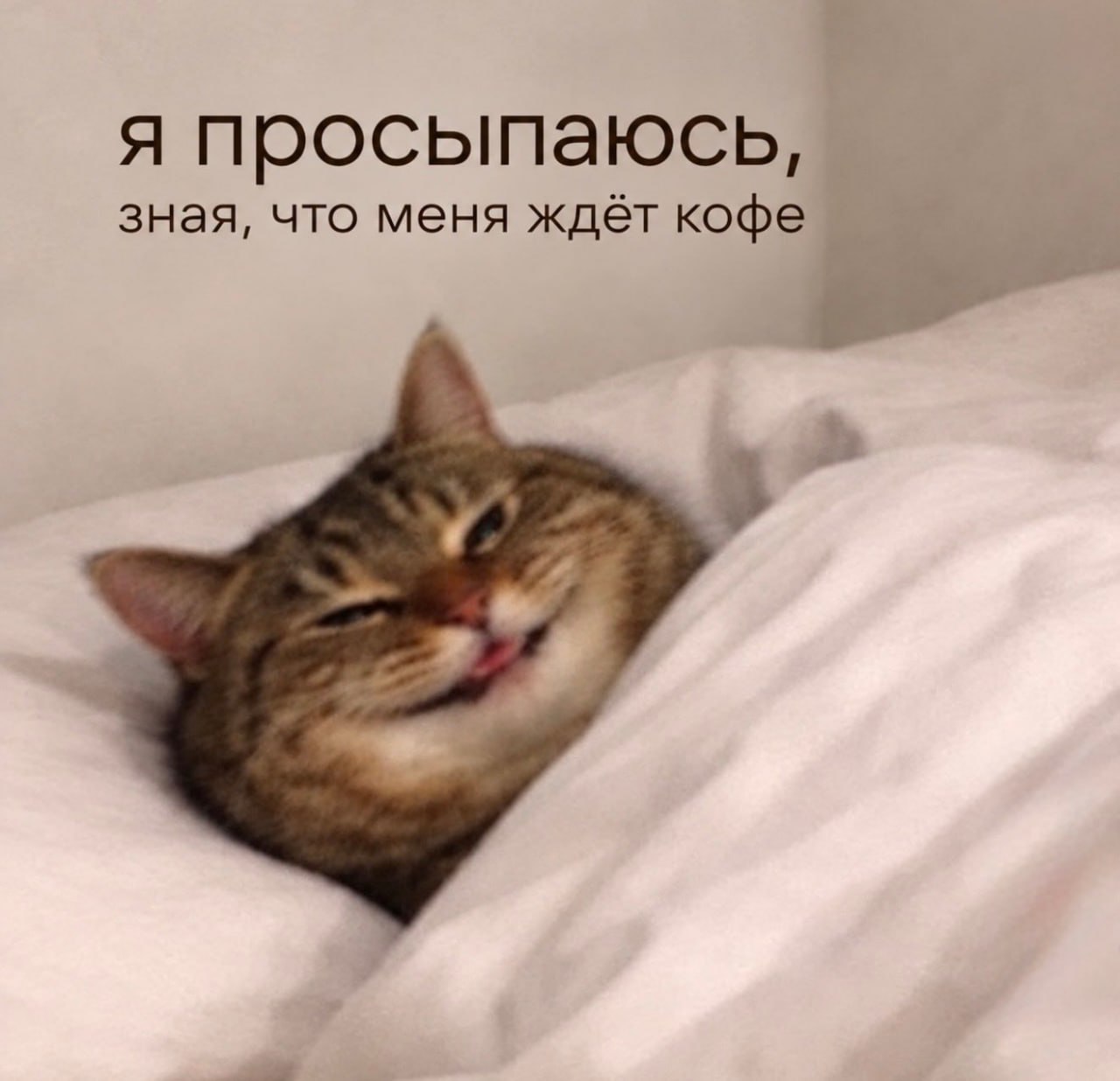 ☕️