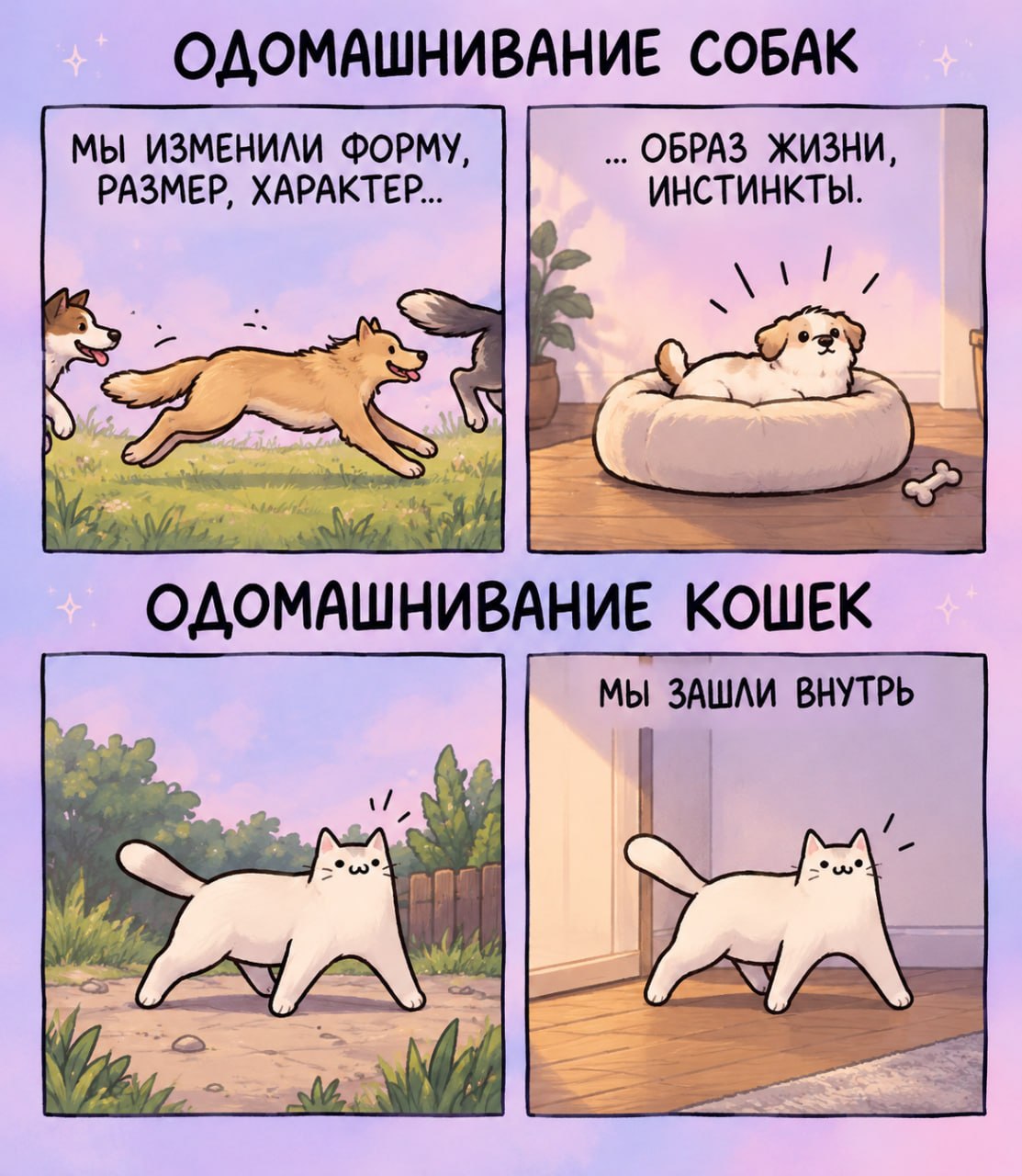Вот и вся разница