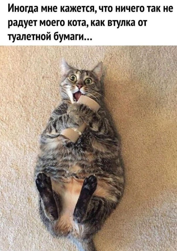 Зачем тратиться на игрушки, которые он игнорирует?