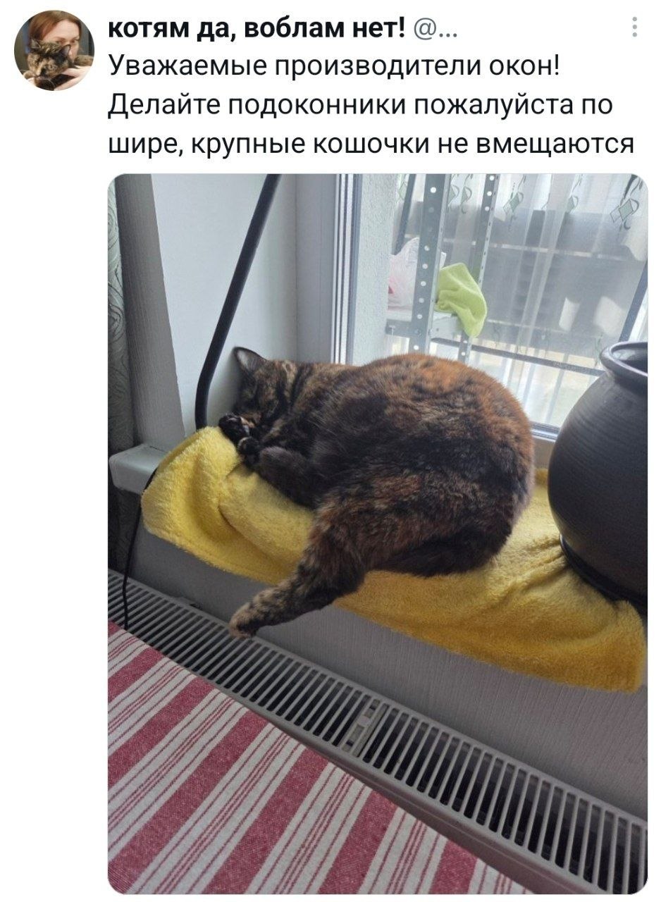 Нам всем нужны такие подоконники
